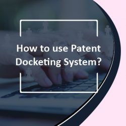 How to Use Patent Docketing System?
