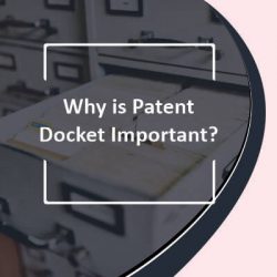 Why is Patent Docket Important
